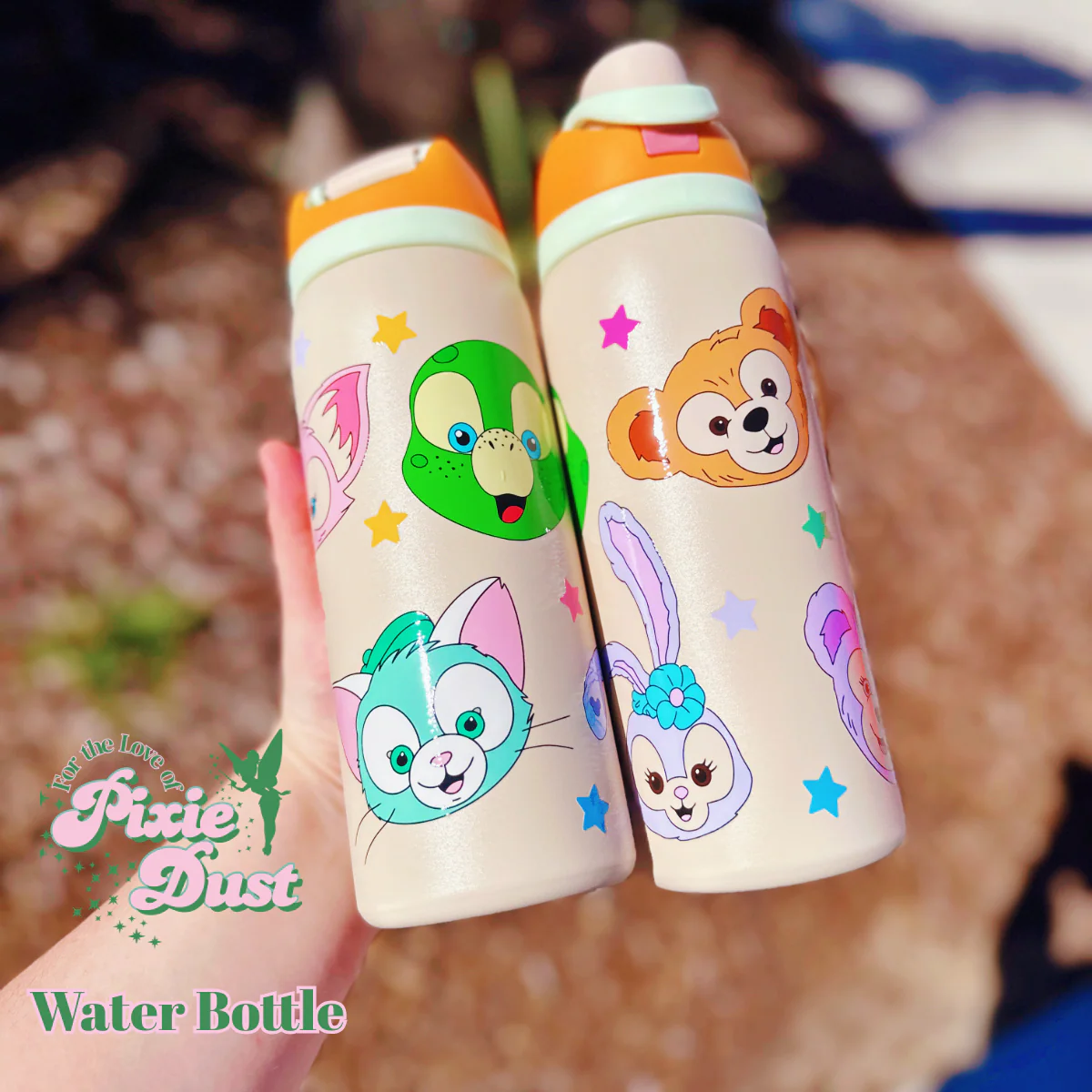 SURPRISE DROP! Duffy and Friends Inspired 32 oz Sip Stainless Steel Water Bottle